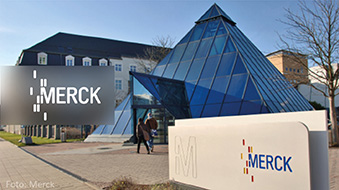 Merck-vorschaubild